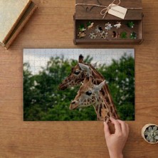 Punto Dizayn Sevimli Zürafalar Yakın Çekim Tasarımı 240 Parça Ahşap Puzzle Ahşap Kutuda MPY40394