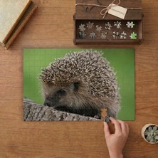 Punto Dizayn Yakın Çekim Sevimli Kirpi Tasarımı 240 Parça Ahşap Puzzle Ahşap Kutuda MPY40452