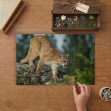 Punto Dizayn Doğadaki Puma  Tasarımı 240 Parça Ahşap Puzzle Ahşap Kutuda MPY40017