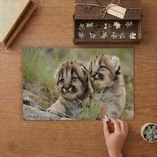 Punto Dizayn Yavru Dağ Aslanları  Tasarımı 240 Parça Ahşap Puzzle Ahşap Kutuda MPY20443