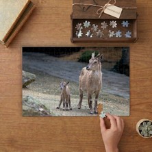 Punto Dizayn Anne Keçi ve Yavrusu Tasarımı 240 Parça Ahşap Puzzle Ahşap Kutuda MPY40405