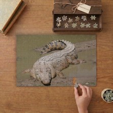 Punto Dizayn Tuzlu Su Timsahı Tasarımı 240 Parça Ahşap Puzzle Ahşap Kutuda MPY40069