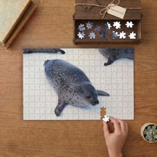 Punto Dizayn Bayağı Fok Balığı Tasarımı 240 Parça Ahşap Puzzle Ahşap Kutuda MPY60121