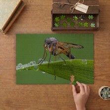 Punto Dizayn Yakın Çekim Çulluk Sineği Tasarımı 240 Parça Ahşap Puzzle Ahşap Kutuda MPY60083