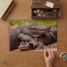 Punto Dizayn Arkadaş Timsahlar Tasarımı 240 Parça Ahşap Puzzle Ahşap Kutuda MPY20464