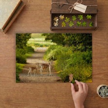 Punto Dizayn Orman Patikasında Anne Ceylan ve Yavruları  Tasarımı 240 Parça Ahşap Puzzle Ahşap Kutuda MPY40135