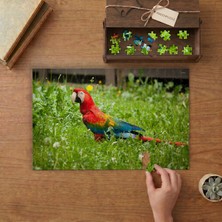 Punto Dizayn Bahçede Papağan Kuşu Tasarımı 240 Parça Ahşap Puzzle Ahşap Kutuda MPY50087