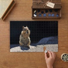 Punto Dizayn Şaşkın Sevimli Sincap Tasarımı 240 Parça Ahşap Puzzle Ahşap Kutuda MPY40117