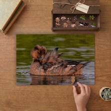 Punto Dizayn Gölde Yaban Ördeği Tasarımı 240 Parça Ahşap Puzzle Ahşap Kutuda MPY40170
