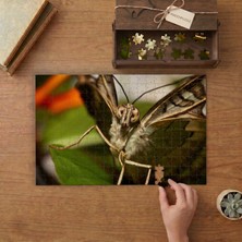 Punto Dizayn Baykuş Kelebeği Tasarımı 240 Parça Ahşap Puzzle Ahşap Kutuda MPY50185
