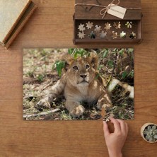 Punto Dizayn Dinlenen Aslan Tasarımı 240 Parça Ahşap Puzzle Ahşap Kutuda MPY40099