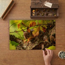 Punto Dizayn Yaprakların Arasından Bakan Sincap Tasarımı 240 Parça Ahşap Puzzle Ahşap Kutuda MPY60304