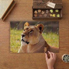 Punto Dizayn Görkemli Aslan Tasarımı 240 Parça Ahşap Puzzle Ahşap Kutuda MPY50059