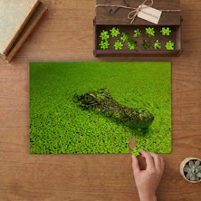 Punto Dizayn Yeşilliklerin Arasında Timsah Tasarımı 240 Parça Ahşap Puzzle Ahşap Kutuda MPY40066