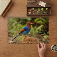 Punto Dizayn Mavi Saksağan- Güzel Kuş Tasarımı 240 Parça Ahşap Puzzle Ahşap Kutuda MPY60310