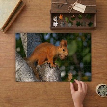 Punto Dizayn Ağaçta Ceviz Toplayan Sevimli Sincap Tasarımı 240 Parça Ahşap Puzzle Ahşap Kutuda MPY40377