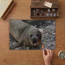 Punto Dizayn Karada Deniz Fili Yavrusu Tasarımı 240 Parça Ahşap Puzzle Ahşap Kutuda MPY60140