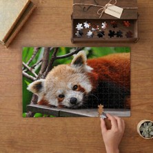 Punto Dizayn Uzanan Kızıl Panda Tasarımı 240 Parça Ahşap Puzzle Ahşap Kutuda MPY60062