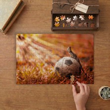 Punto Dizayn Eski Futbol Topu - Iguana Tasarımı 240 Parça Ahşap Puzzle Ahşap Kutuda MPY40483