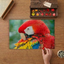 Punto Dizayn Kızıl Amerika Papağanı Tasarımı 240 Parça Ahşap Puzzle Ahşap Kutuda MPY60041