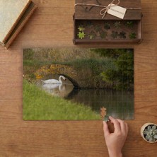 Punto Dizayn Kuğu - Doğa Manzarası Tasarımı 240 Parça Ahşap Puzzle Ahşap Kutuda MPY60393