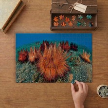 Punto Dizayn Deniz Kestaneleri  Tasarımı 240 Parça Ahşap Puzzle Ahşap Kutuda MPY60454