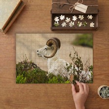 Punto Dizayn Dall Yaban Koyunu Tasarımı 240 Parça Ahşap Puzzle Ahşap Kutuda MPY60024