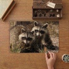 Punto Dizayn Yavru Rakunlar Tasarımı 240 Parça Ahşap Puzzle Ahşap Kutuda MPY60022