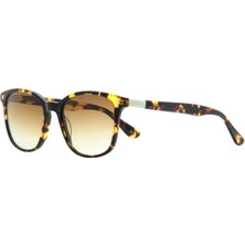 Lee Cooper  2402 C2 52-20 Erkek Güneş Gözlüğü