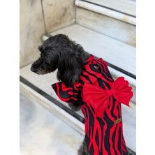 Patilinka Kedi - Köpek Yazlık %100 Pamuklu Viskon Fiyonkulu Gömlek - Atlet - Elbise - Kıyafet