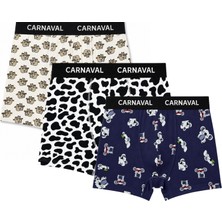 Carnaval Socks Carnaval Lazy Friends Erkek Boxer 3’lü Set
