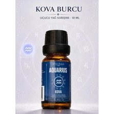 Minia Bahçe Kova Burcu - Aquarius, Uçucu Yağ Karışımı, 10ML