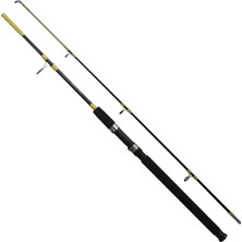 Eurofish Forsa 100-200 gr Tekne Bot Kamışı
