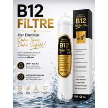 Segy Home Su Arıtma Cihazı Alkali B12 Filtre Ph 8+ (Tüm Cihazlarla Uyumludur) 2 Adet L Dirsek Hediyedir