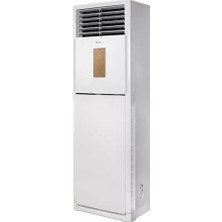 Daylux DVA140A 48000 Btu Salon Tipi Klima