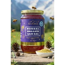 Nurbal Organik Çam Balı 1000 gr