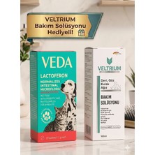 Vedavet Lactoferon Kedi ve Köpekler İçin Probiyotik ve Bağışıklık Güçlendirici 20 Tablet