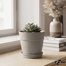 1 Adet 1 Litre Mono Saksı Tabaklı Drenaj Delikli Plastik Çiçek Saksısı
