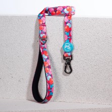 Pawstar Balloons Leash Kedi Köpek Sevk & Gezdirme Kayışı Köpek Uzatma Tasması-1,5cm