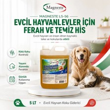 Magneste Ls-56 Enzimatik | Evcil Hayvan Koku Giderici ve Leke Sökücü | Enzymatic Stain Remover | 5lt