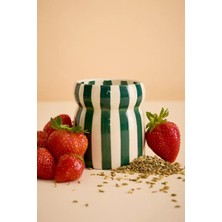 Anthropologie Paddywax Cabana Isla Fresa Çizgili Seramik Mum