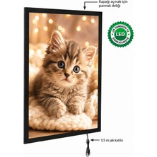 Snapper Magneco Ledbox Tek Taraflı Işıklı Çerçeve B2