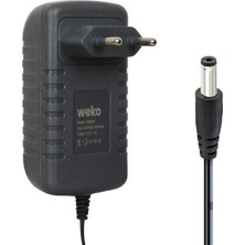 30V - 1 Amper Lithium Ion Battery Charger 5.5-2.5mm Uçlu Lityum Iyon Piller Için Uygun Şarj Ciha