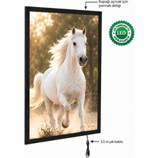 Snapper Magneco Ledbox Tek Taraflı Işıklı Çerçeve B1