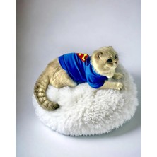 St. Morritz Cat Superman Kedi Tişört (Xsmall 1,5 - 2,5 kg Için)