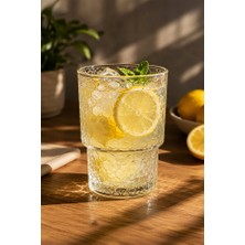 iselahome Hexora Borosilikat Cam Su Bardağı Seti 6'lı 300 ml Petek Desenli Meşrubat Bardağı