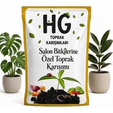 Hg Salon Bitkilerine Özel Toprak Karışımı