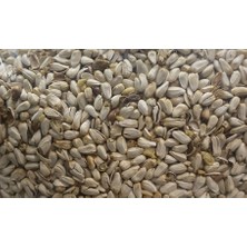 Senpet Çıtlatılmış Aspir 1 kg