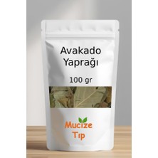 Mucize Tıp Avokado Yaprağı Kurusu Dökme 100 gr