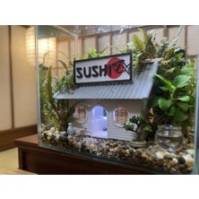 Baydıoğlu Grup Akvaryum Içi Sushi Dekor